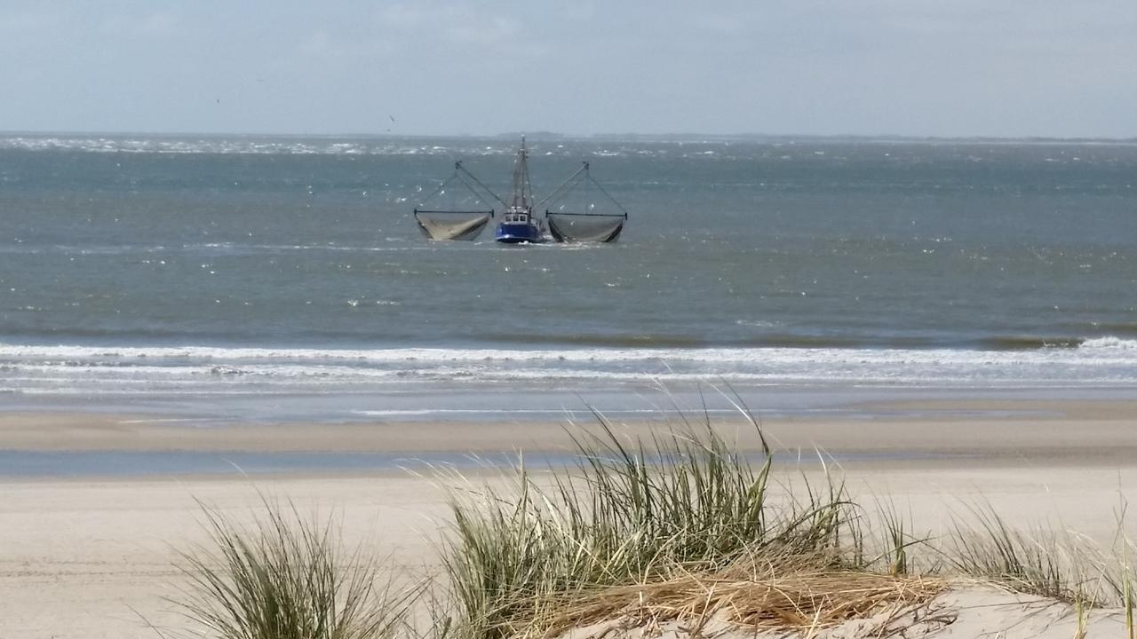 Chalet Duinzicht G68 Ameland Villa Buren  Exteriör bild