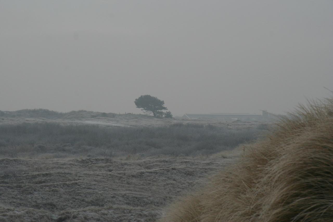 Chalet Duinzicht G68 Ameland Villa Buren  Exteriör bild